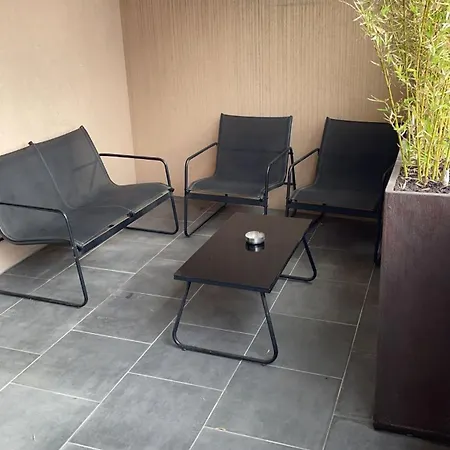 Apartment Grand Cosy Avec Terrasse Parking *